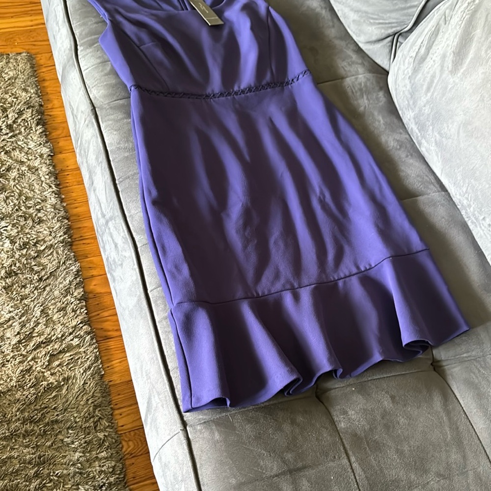 Ann Taylor Sz 2P Elegant Purple Sleeveless Dress - Picture 2 of 4